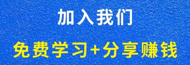 白菜价解锁20000+N个赚钱机会，加入轻创终点站会员，全站资源免费学习。-翎创互联